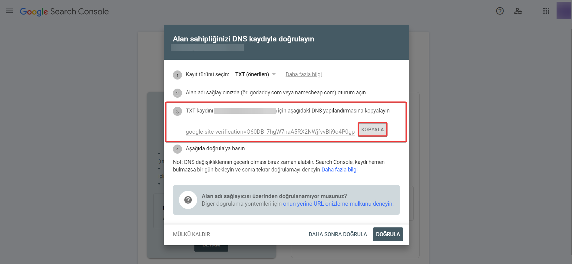 dns kaydı doğrulama.png (102 KB)